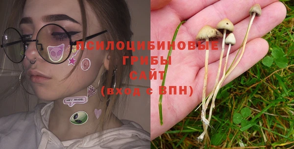 трава Приозерск